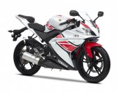 2012 Yamaha YZF-R125 WGP 50th Anniversary photo